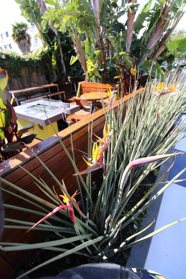 Haley Hotel Santa Barbara Ngoại thất bức ảnh